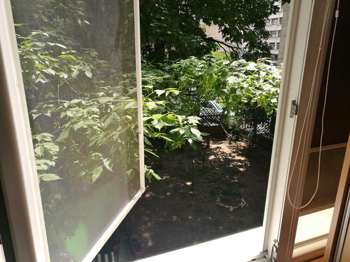 Apartament Coquettehouse Gara De Nord Bukareszt Zewnętrze zdjęcie
